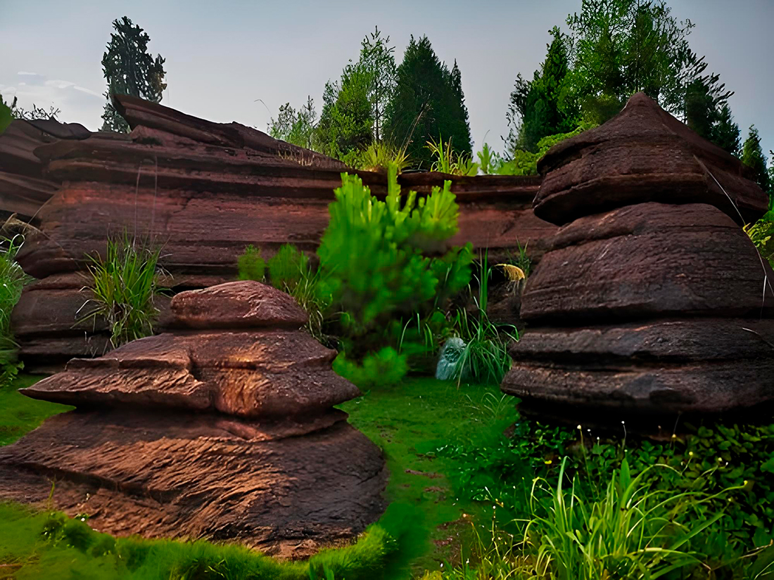 Red Stone Forest