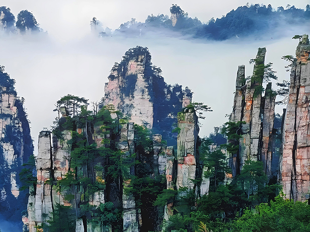 zhangjiajie national forest park